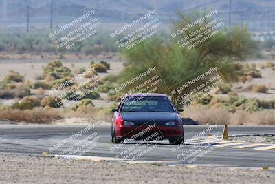 media/Oct-24-2025-Doghouse Garage (Fri) [[783d2ff07a]]/1-Advanced/Session 2 Turn 5 Tree of Life/